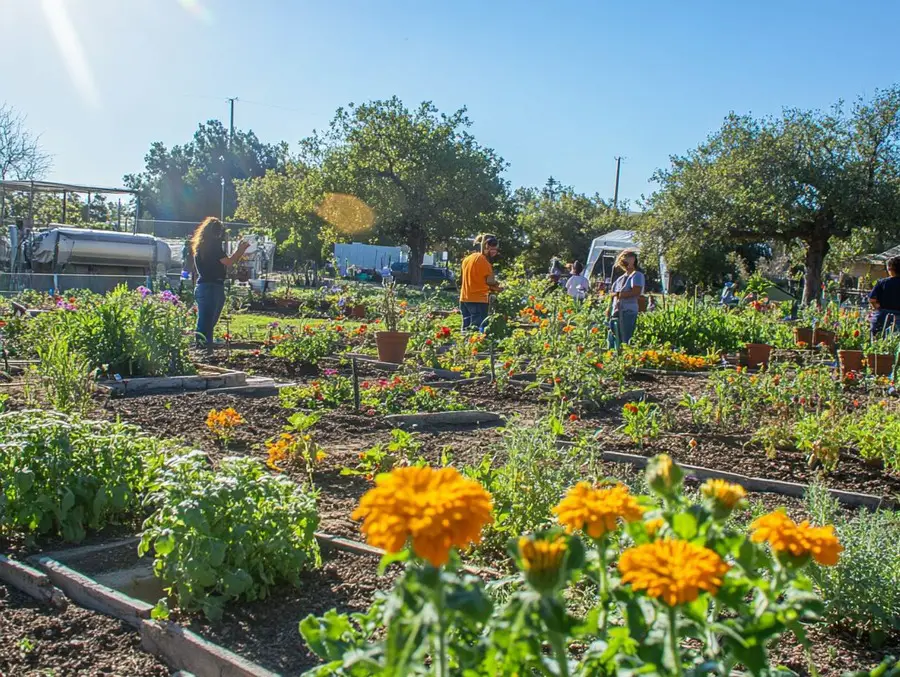Benefits of Water in Drought-Prone Areas