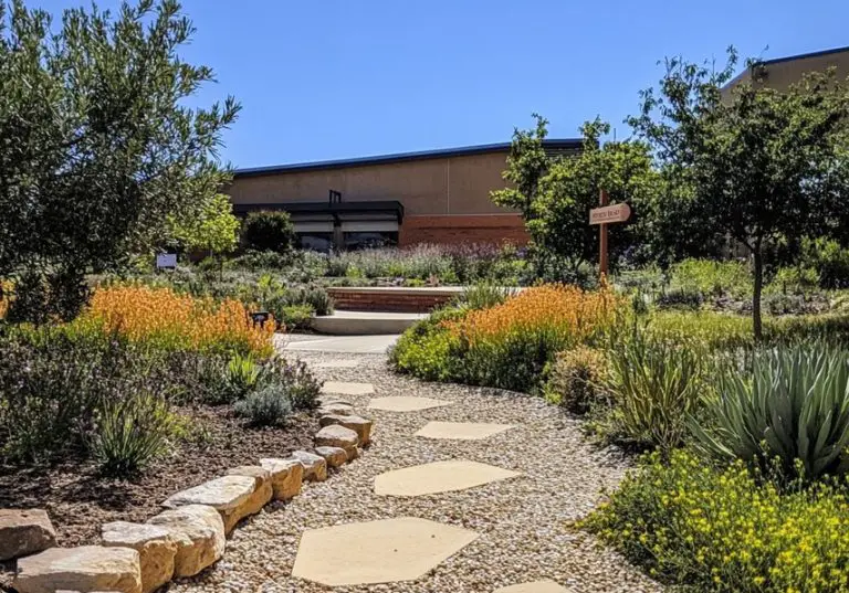 Economic Advantages of Xeriscaping