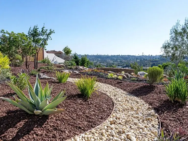 Irrigation Basics for Xeriscaping