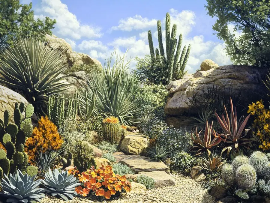 Xeriscaping for Different Climates - Easy Landscaping Tips